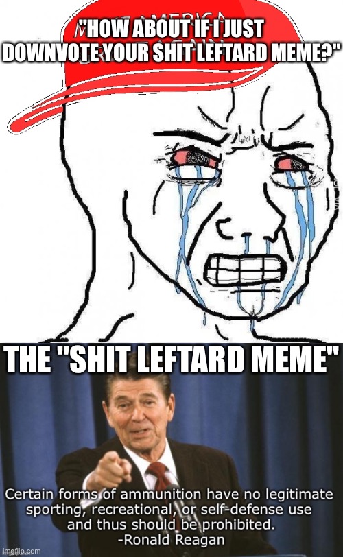 Oh, those sweet sweet maga tears | "HOW ABOUT IF I JUST DOWNVOTE YOUR SHIT LEFTARD MEME?"; THE "SHIT LEFTARD MEME" | image tagged in crying wojak maga | made w/ Imgflip meme maker