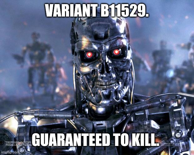Terminator Robot T-800 | VARIANT B11529. GUARANTEED TO KILL. | image tagged in terminator robot t-800 | made w/ Imgflip meme maker