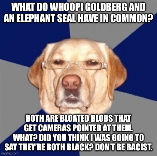 Obvious observation about Whoopi Goldberg |  WHAT DO WHOOPI GOLDBERG AND AN ELEPHANT SEAL HAVE IN COMMON? BOTH ARE BLOATED BLOBS THAT GET CAMERAS POINTED AT THEM.
WHAT? DID YOU THINK I WAS GOING TO SAY THEY’RE BOTH BLACK? DON’T BE RACIST. | image tagged in racist dog,memes,whoopi goldberg,elephant seal,bad joke,fat | made w/ Imgflip meme maker