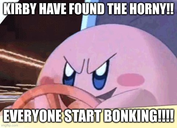 KIRBY HAS GOT YOU! | KIRBY HAVE FOUND THE HORNY!! EVERYONE START BONKING!!!! | image tagged in kirby has got you | made w/ Imgflip meme maker