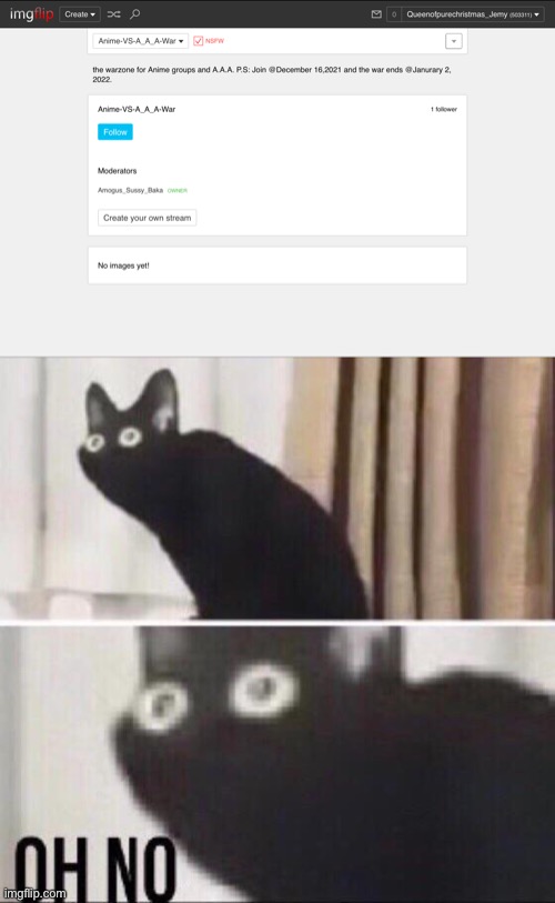 Uh... guys... we have a problem | image tagged in oh no cat | made w/ Imgflip meme maker