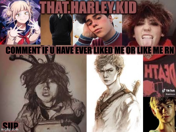 bc trend | COMMENT IF U HAVE EVER LIKED ME OR LIKE ME RN | image tagged in harley temp 2 0 | made w/ Imgflip meme maker