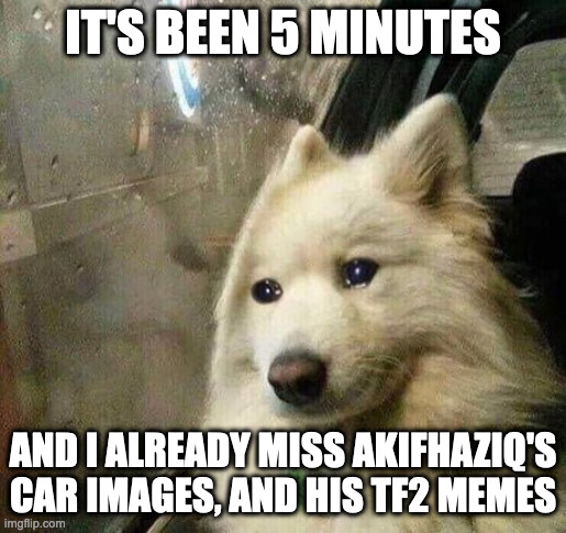 Why do TF2 fans keep deleting? It was first spookyman then uncle_dane and now akif | IT'S BEEN 5 MINUTES; AND I ALREADY MISS AKIFHAZIQ'S CAR IMAGES, AND HIS TF2 MEMES | image tagged in sad dog | made w/ Imgflip meme maker