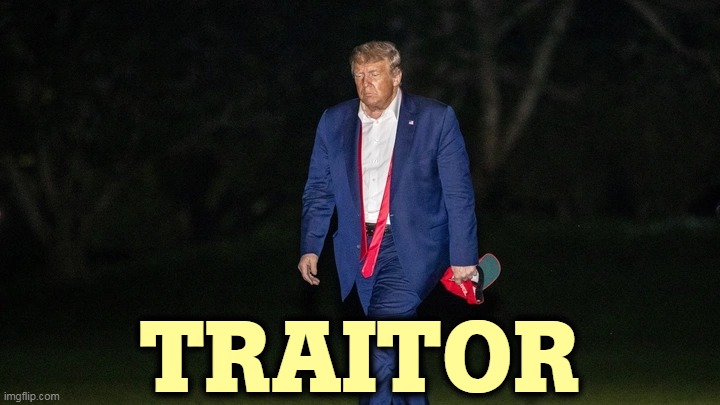 Trump Tulsa Big Fat Loser Defeat | TRAITOR | image tagged in trump tulsa big fat loser defeat,traitor,spy,kgb,putin | made w/ Imgflip meme maker