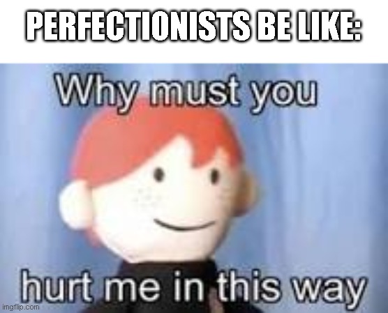 Why must you hurt me in this way | PERFECTIONISTS BE LIKE: | image tagged in why must you hurt me in this way | made w/ Imgflip meme maker