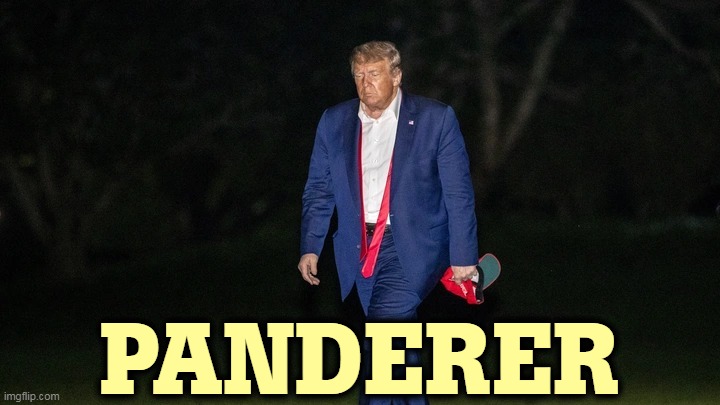 Trump Tulsa Big Fat Loser Defeat | PANDERER | image tagged in trump tulsa big fat loser defeat,trump,pimp,traffic,young,girls | made w/ Imgflip meme maker