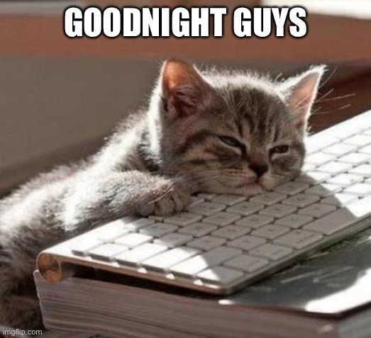 tired cat | GOODNIGHT GUYS | image tagged in tired cat | made w/ Imgflip meme maker