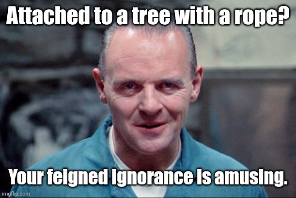 Hannibal says: come on in | Attached to a tree with a rope? Your feigned ignorance is amusing. | image tagged in hannibal says come on in | made w/ Imgflip meme maker