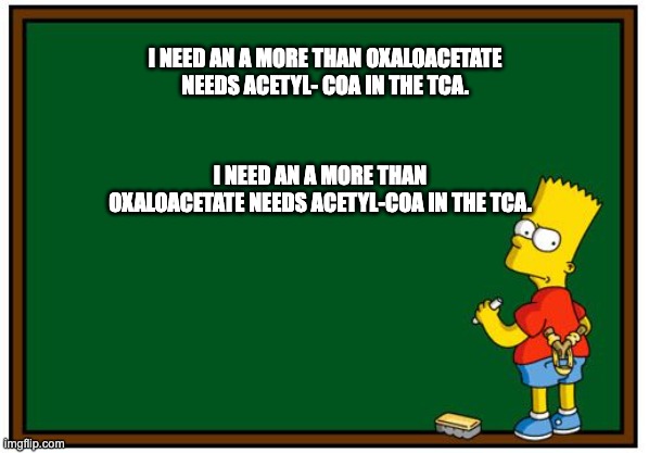 Simpson Chalkboard blank | I NEED AN A MORE THAN OXALOACETATE NEEDS ACETYL- COA IN THE TCA. I NEED AN A MORE THAN OXALOACETATE NEEDS ACETYL-COA IN THE TCA. | image tagged in simpson chalkboard blank,science | made w/ Imgflip meme maker