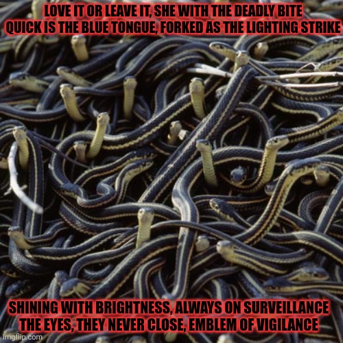 Don't tread on me | LOVE IT OR LEAVE IT, SHE WITH THE DEADLY BITE
QUICK IS THE BLUE TONGUE, FORKED AS THE LIGHTING STRIKE; SHINING WITH BRIGHTNESS, ALWAYS ON SURVEILLANCE
THE EYES, THEY NEVER CLOSE, EMBLEM OF VIGILANCE | image tagged in heavy metal,metallica,volbeat,snakes | made w/ Imgflip meme maker