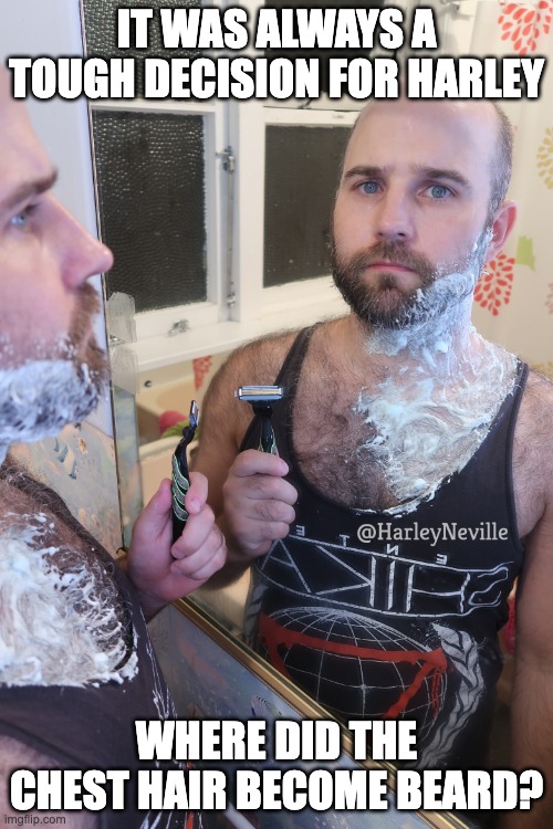 Hairy Man Problems | IT WAS ALWAYS A TOUGH DECISION FOR HARLEY; WHERE DID THE CHEST HAIR BECOME BEARD? | image tagged in hairy man problems,hairy,funny,bear,shaving,man problems | made w/ Imgflip meme maker