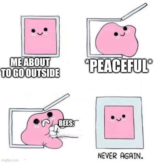 Never again | ME ABOUT TO GO OUTSIDE; *PEACEFUL*; BEES: | image tagged in never again | made w/ Imgflip meme maker