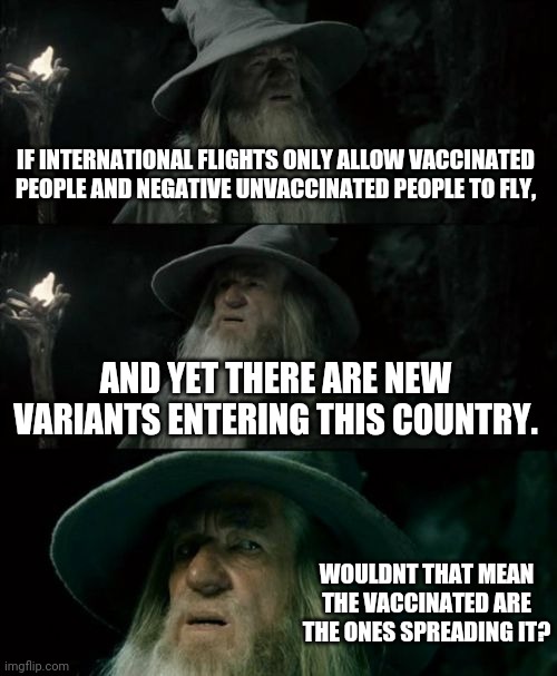 Confused Gandalf | IF INTERNATIONAL FLIGHTS ONLY ALLOW VACCINATED PEOPLE AND NEGATIVE UNVACCINATED PEOPLE TO FLY, AND YET THERE ARE NEW VARIANTS ENTERING THIS COUNTRY. WOULDNT THAT MEAN THE VACCINATED ARE THE ONES SPREADING IT? | image tagged in memes,confused gandalf | made w/ Imgflip meme maker