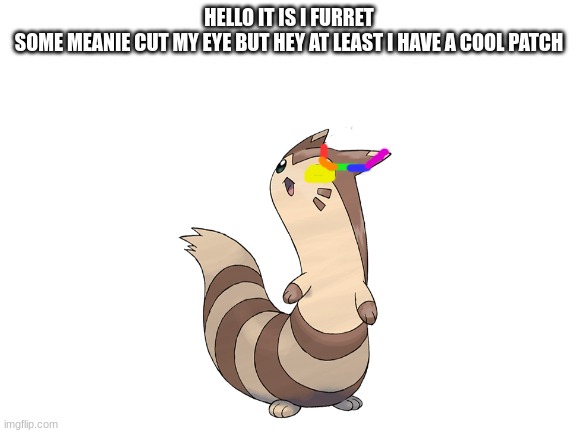 Nice rainbow patch tho.  Furret be dripped out the wazzu | HELLO IT IS I FURRET
SOME MEANIE CUT MY EYE BUT HEY AT LEAST I HAVE A COOL PATCH | image tagged in memes | made w/ Imgflip meme maker