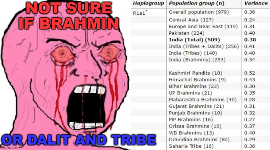 Not sure if Brahmin or Dalit and Tribe | NOT SURE IF BRAHMIN; OR DALIT AND TRIBE | image tagged in seething man | made w/ Imgflip meme maker