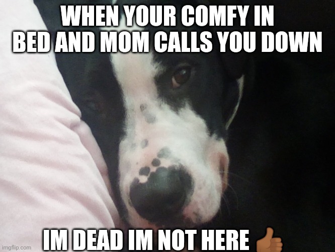 When you... | WHEN YOUR COMFY IN BED AND MOM CALLS YOU DOWN; IM DEAD IM NOT HERE 👍🏾 | image tagged in when you | made w/ Imgflip meme maker