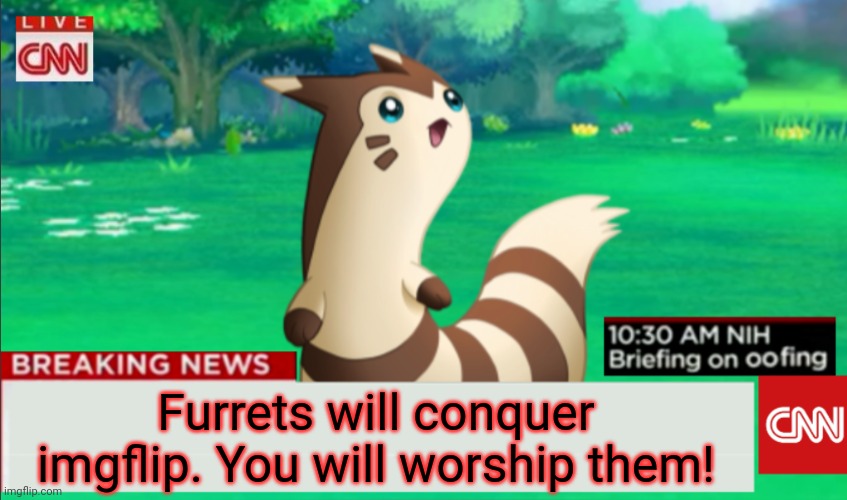 Furret rules imgflip | Furrets will conquer imgflip. You will worship them! | image tagged in breaking news furret,furret,pokemon,lol | made w/ Imgflip meme maker