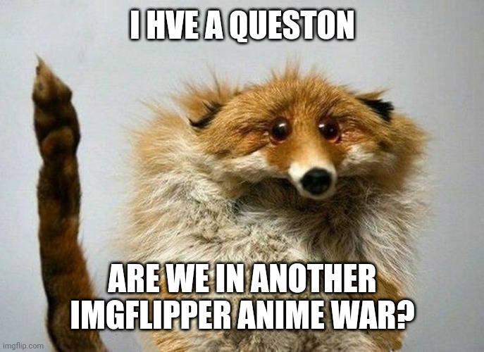 It seems like it. | I HVE A QUESTON; ARE WE IN ANOTHER IMGFLIPPER ANIME WAR? | image tagged in i have a question fox | made w/ Imgflip meme maker