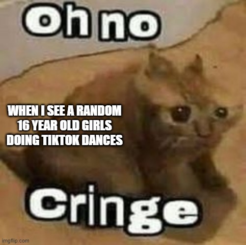 oH nO cRInGe | WHEN I SEE A RANDOM 16 YEAR OLD GIRLS DOING TIKTOK DANCES | image tagged in oh no cringe | made w/ Imgflip meme maker