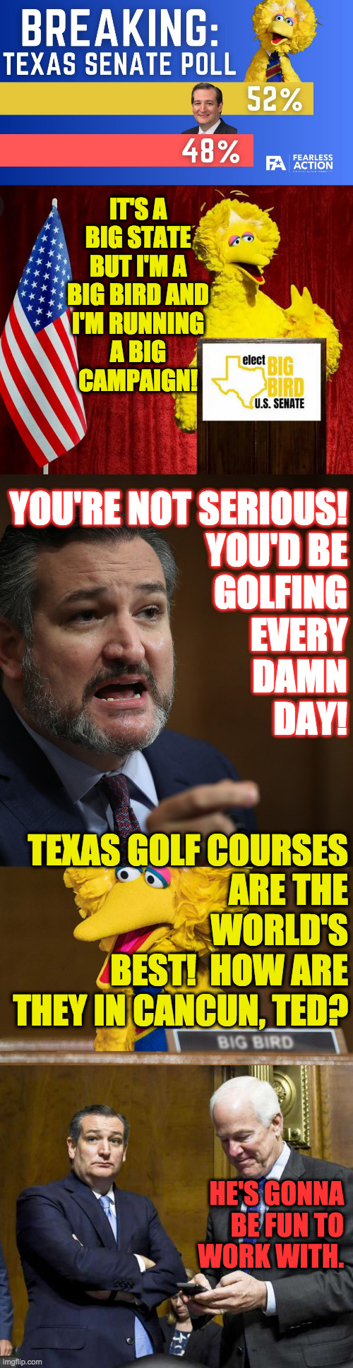 Big Bird vs. Big Turkey.  I didn't make the images. | IT'S A
BIG STATE
BUT I'M A
BIG BIRD AND
I'M RUNNING
A BIG
CAMPAIGN! YOU'RE NOT SERIOUS!
YOU'D BE
GOLFING
EVERY
DAMN
DAY! TEXAS GOLF COURSES
ARE THE
WORLD'S
BEST!  HOW ARE
THEY IN CANCUN, TED? HE'S GONNA
BE FUN TO
WORK WITH. | image tagged in memes,big bird for senate,ted cruz turkey,cancun cruz | made w/ Imgflip meme maker