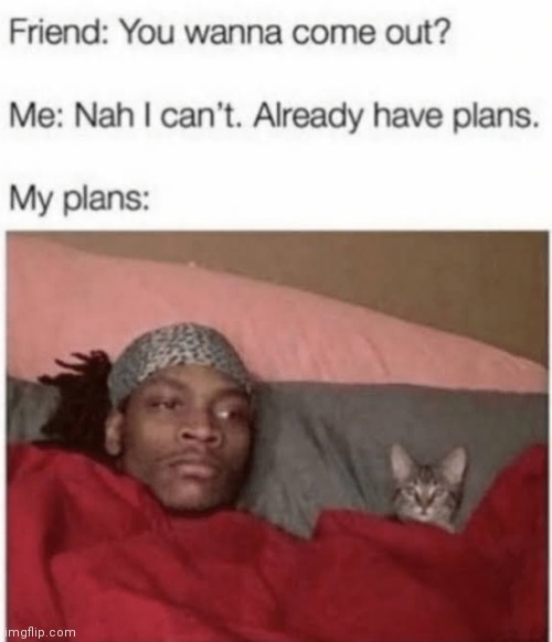A plan is a plan | image tagged in memes,plans,making plans,vibe | made w/ Imgflip meme maker