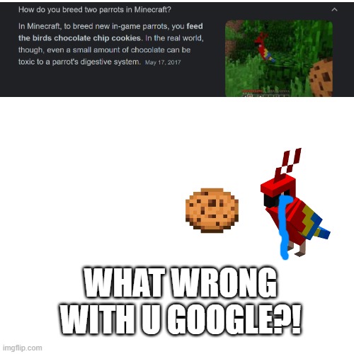Blank Transparent Square Meme | WHAT WRONG WITH U GOOGLE?! | image tagged in memes,blank transparent square | made w/ Imgflip meme maker
