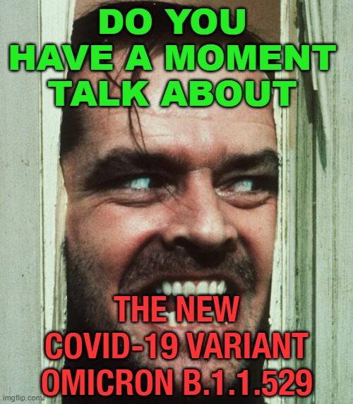 DO YOU HAVE A MOMENT TALK ABOUT the new COVID-19 variant Omicron B.1.1.529 | DO YOU HAVE A MOMENT TALK ABOUT; THE NEW COVID-19 VARIANT OMICRON B.1.1.529 | image tagged in jack nicholson shining | made w/ Imgflip meme maker