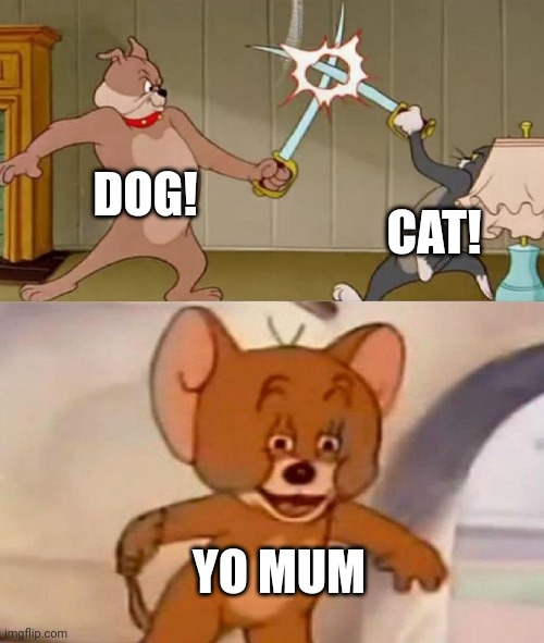 Tom and Jerry swordfight | DOG! CAT! YO MUM | image tagged in tom and jerry swordfight | made w/ Imgflip meme maker