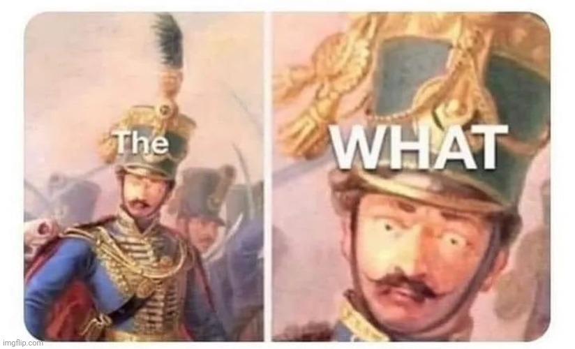 The what | image tagged in king surprised | made w/ Imgflip meme maker