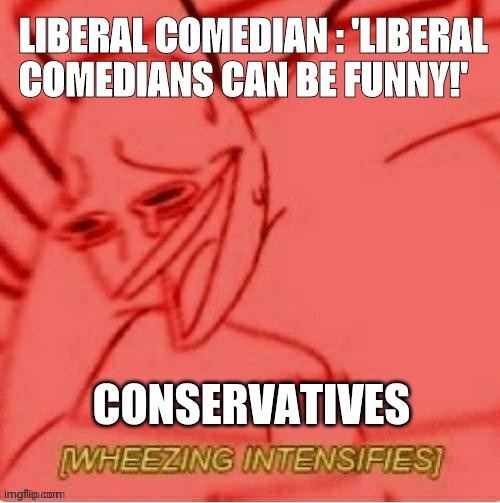 Well he got us there... | LIBERAL COMEDIAN : 'LIBERAL COMEDIANS CAN BE FUNNY!'; CONSERVATIVES | image tagged in when a comedian | made w/ Imgflip meme maker