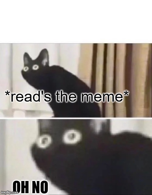 Oh No Black Cat | *read's the meme* OH NO | image tagged in oh no black cat | made w/ Imgflip meme maker