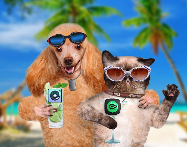 jqbx, spotify Blank Meme Template