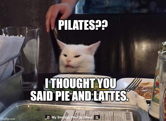 PILATES?? I THOUGHT YOU SAID PIE AND LATTES. | image tagged in smudge the cat | made w/ Imgflip meme maker