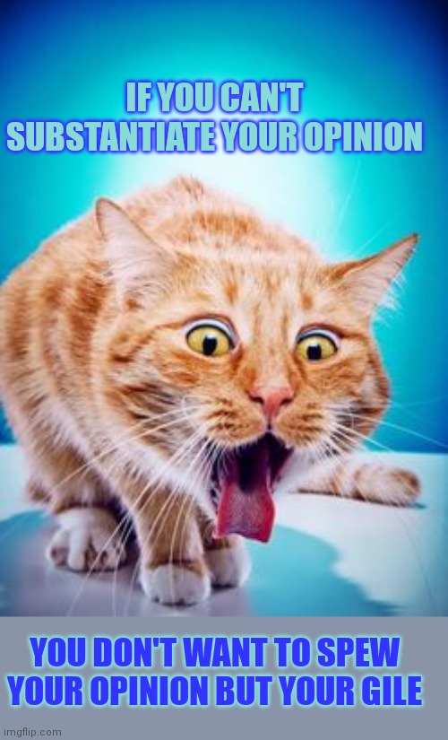 This #lolcat wonders if you truly stand behind your own opinion | IF YOU CAN'T SUBSTANTIATE YOUR OPINION; YOU DON'T WANT TO SPEW YOUR OPINION BUT YOUR GILE | image tagged in lolcat,opinion,discussion,civilized discussion,free speech | made w/ Imgflip meme maker