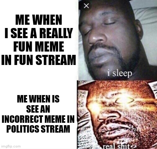 Comments in politics stream should not be readed |  ME WHEN I SEE A REALLY FUN MEME IN FUN STREAM; ME WHEN IS SEE AN INCORRECT MEME IN POLITICS STREAM | image tagged in i sleep real shit,memes,funny,politics,hold up | made w/ Imgflip meme maker
