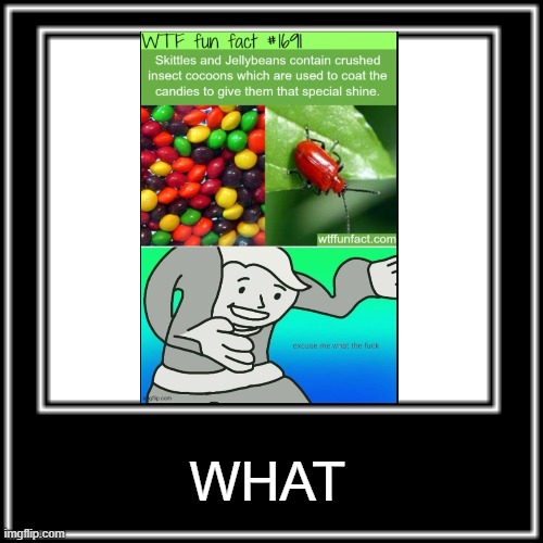 Who the hell would post a meme of their own meme | WHAT | image tagged in what how | made w/ Imgflip meme maker