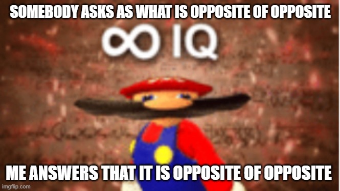 infinite | SOMEBODY ASKS AS WHAT IS OPPOSITE OF OPPOSITE; ME ANSWERS THAT IT IS OPPOSITE OF OPPOSITE | image tagged in infinite iq | made w/ Imgflip meme maker