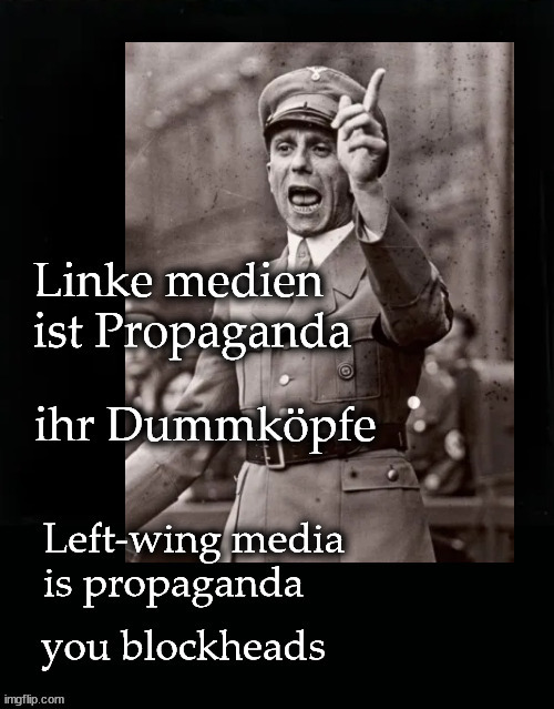 Linke medien ist Propaganda | image tagged in left wing media,propaganda | made w/ Imgflip meme maker
