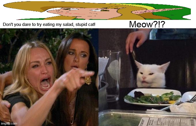 Woman Yelling At Cat | Don't you dare to try eating my salad, stupid cat! Meow?!? | image tagged in memes,woman yelling at cat,salad | made w/ Imgflip meme maker