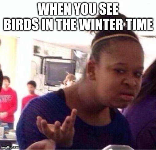 Wut? |  WHEN YOU SEE BIRDS IN THE WINTER TIME | image tagged in wut,memes | made w/ Imgflip meme maker