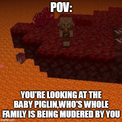 poor baby | POV:; YOU'RE LOOKING AT THE BABY PIGLIN,WHO'S WHOLE FAMILY IS BEING MUDERED BY YOU | image tagged in minecraft memes | made w/ Imgflip meme maker