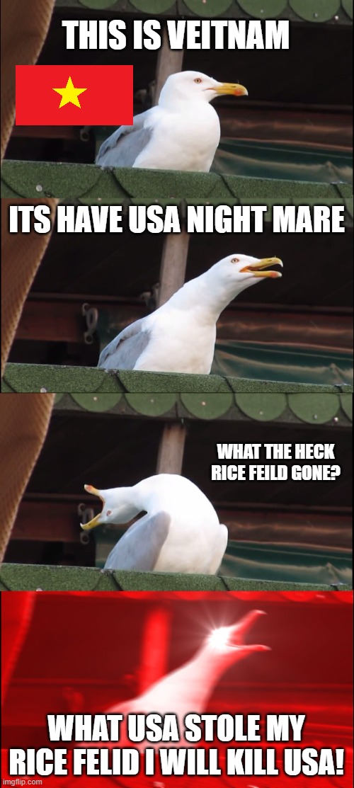 sutpid usa rice feild is mine | THIS IS VEITNAM; ITS HAVE USA NIGHT MARE; WHAT THE HECK RICE FEILD GONE? WHAT USA STOLE MY RICE FELID I WILL KILL USA! | image tagged in memes,inhaling seagull | made w/ Imgflip meme maker