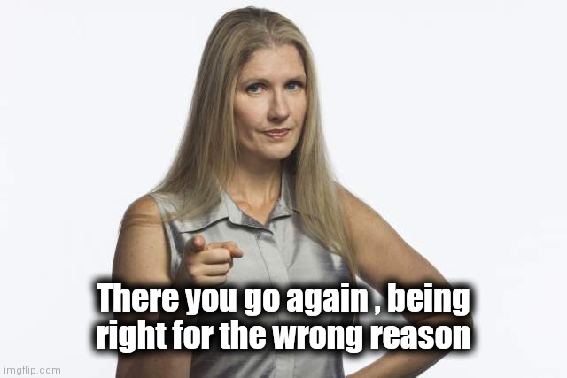 scolding mom | There you go again , being
right for the wrong reason | image tagged in scolding mom | made w/ Imgflip meme maker