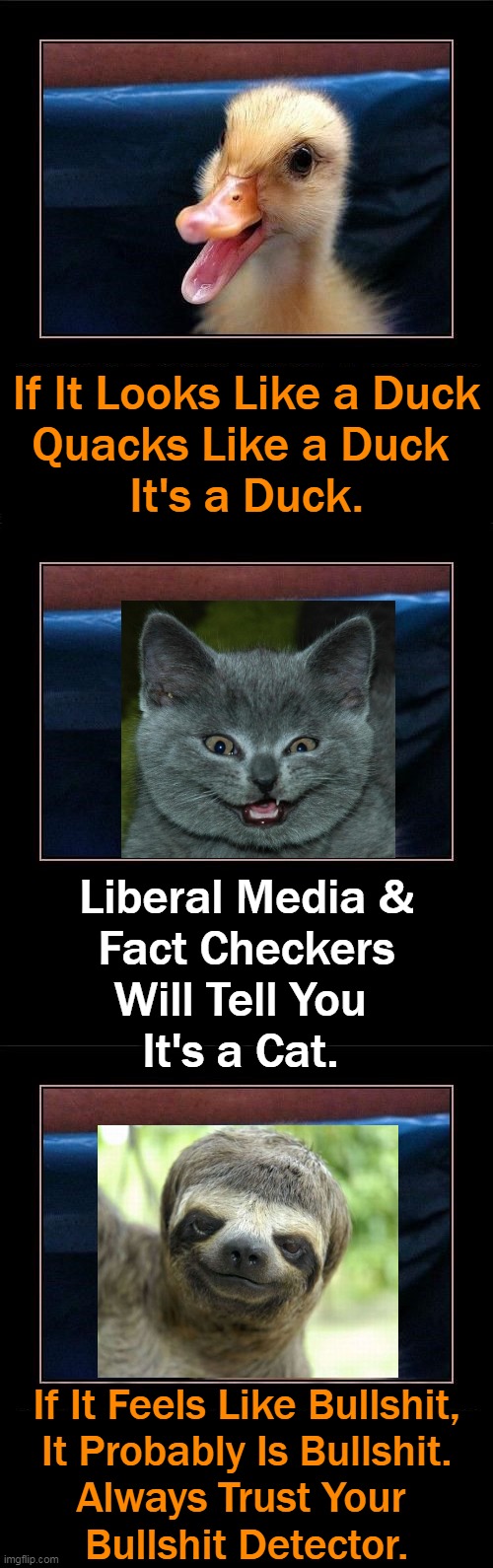 PSA For Survival in a Liberal World | If It Looks Like a Duck
Quacks Like a Duck 
It's a Duck. Liberal Media &
Fact Checkers
Will Tell You 
It's a Cat. If It Feels Like Bullshit,
It Probably Is Bullshit.
Always Trust Your 
Bullshit Detector. | image tagged in political meme,liberals vs conservatives,conservative logic,biased fact checkers,media lies,trust yourself | made w/ Imgflip meme maker