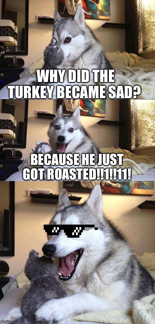 Turkey funny | WHY DID THE TURKEY BECAME SAD? BECAUSE HE JUST GOT ROASTED!!1!!11! | image tagged in memes,bad pun dog | made w/ Imgflip meme maker