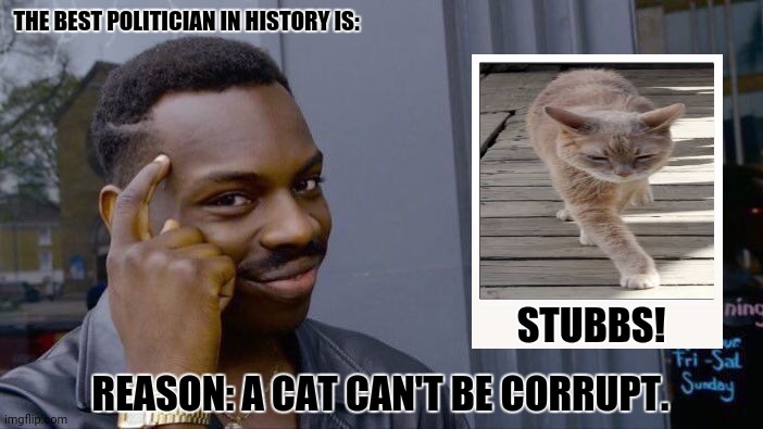 Roll Safe Think About It | THE BEST POLITICIAN IN HISTORY IS:; STUBBS! REASON: A CAT CAN'T BE CORRUPT. | image tagged in memes,roll safe think about it,kitten | made w/ Imgflip meme maker