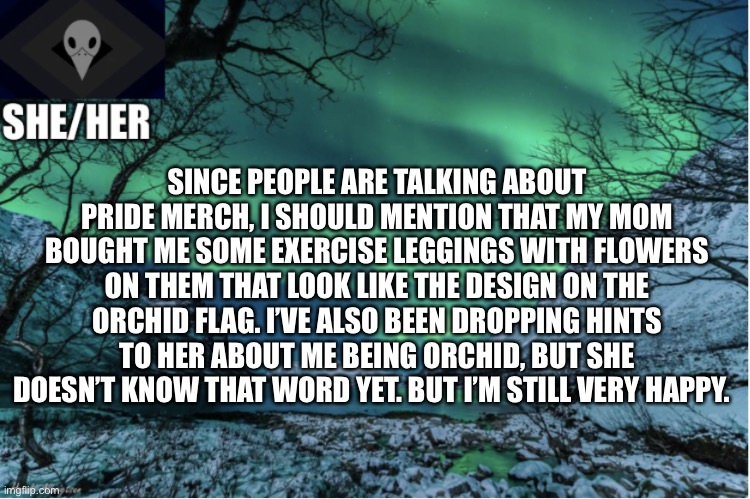 Northern Lights Termcollector Template | SINCE PEOPLE ARE TALKING ABOUT PRIDE MERCH, I SHOULD MENTION THAT MY MOM BOUGHT ME SOME EXERCISE LEGGINGS WITH FLOWERS ON THEM THAT LOOK LIKE THE DESIGN ON THE ORCHID FLAG. I’VE ALSO BEEN DROPPING HINTS TO HER ABOUT ME BEING ORCHID, BUT SHE DOESN’T KNOW THAT WORD YET. BUT I’M STILL VERY HAPPY. | image tagged in northern lights termcollector template | made w/ Imgflip meme maker