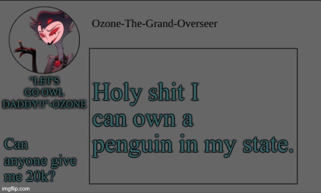 Ozone's OWL DADDY temp | Holy shit I can own a penguin in my state. Can anyone give me 20k? | image tagged in ozone's owl daddy temp | made w/ Imgflip meme maker