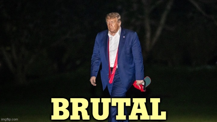 Trump Tulsa Big Fat Loser Defeat | BRUTAL | image tagged in trump tulsa big fat loser defeat,brutal,trump | made w/ Imgflip meme maker
