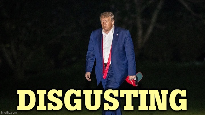 Trump Tulsa Big Fat Loser Defeat | DISGUSTING | image tagged in trump tulsa big fat loser defeat,trump,disgusting | made w/ Imgflip meme maker
